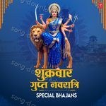 Shukrawar Gupt Navratri Special Bhajans - Narendra Chanchal Song Download