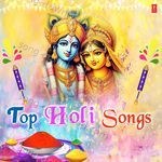 Top Holi Songs - Narendra Chanchal Song Download